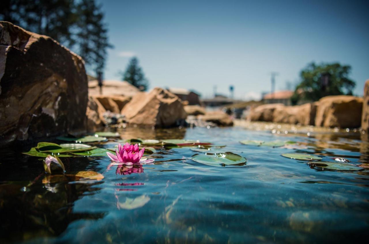 Natura Treescape Resort ويسكونسن الوديان المظهر الخارجي الصورة